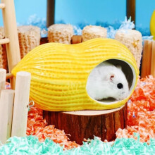 Maison pour hamster, cachette pour hamster, maison pour hamster en céramique en forme de cacahuète, trou pour hamster, nid pour hamster