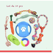 Jouet pour chien - Lot de 10 cordes multicolores à mâcher - Pour chiots et chiens - Usage intérieur