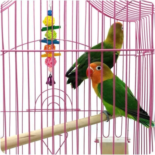 Ensemble de 6 perchoirs à mâcher suspendus pour perroquets et calopsittes