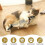 Electronic cat toy - 1 - Interactive fish - Black - For small cats - Indoor use 1