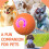 Smart Rolling Ball for Dogs and Cats, Interactive Toy, Bite-Resistant, with Light - Orange 4