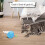 Interactive Toy - GIGICIAL - Automatic - Colorful LED Lights - USB Charging - Compact 1