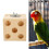 Bloc de construction pour oiseaux - GIGICIAL - Beige - Bois - Intérieur 2