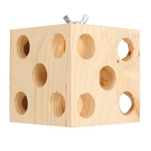 Bloc de construction pour oiseaux - GIGICIAL - Beige - Bois - Intérieur 2