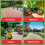 Doff DOFF Path Patio Weedkiller Sachets Pack of 3 10