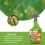 Doff Doff Bug Fungus Control Spray 1Liter 5