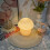 (US) Retro Stripe Night Light Mushroom Lamp, Adjustable Brightness, 4 Plug Type Bedside Lamps EU/UK/AU/US 5