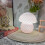 (EU) Retro Stripe Night Light Mushroom Lamp, Adjustable Brightness, 4 Plug Type Bedside Lamps EU/UK/AU/US 5