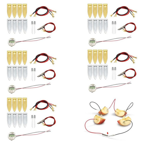 Fruit Battery Science Experiment Kit for Home Teaching Toy, Lemon Potato Battery Physics Teaching Experiment 18 Sets 2