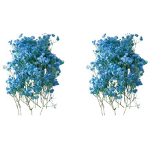 100X Dried Gypsophila Flowers for DIY Crafts, Wedding Decorations, Vibrant Preserved Floral Arrangements