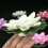 6Pcs Floating Pool Lights, Floating Lotus Light for Pond, Pond Lights Floating 3