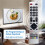 4X RMC0133 Remote Control Replace for  TV Remote Control Free Setup 5