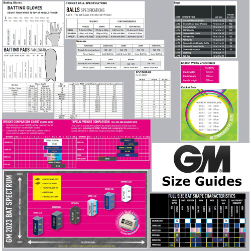 GM | Cricket | Anatomically Shaped Padded Box Abdo Guard | Strong Plastic Slip I 2