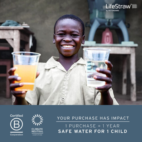 LifeStraw Personal Water Filter, Green, 1pc 2
