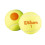 Wilson STARTER ORANGE TBALL 48 PACK 1