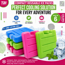 TB1 6 Pack Freezer Blocks Ice Packs for Cool Bags, Lunch Boxes & Cooler Boxes, Reusable Ice Brick Cooling Packs for Camping, Picnic, Beach, Travel Fo