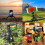Mini Octopus Tripod Stand Grip Flexible Holder For Mobile Phone Camera Universal 6