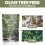 Vitax Vitax Olive Tree Feed Pouch 900g 4