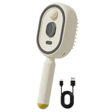 Electric Massage Hair Brush, Rechargeable Detangling Electric Steam Brushs for Hair for Reduce Frizz, Nourishes Hairs
