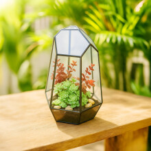 Geometrisches Glasterrarium für Sukkulenten und Luftpflanzen