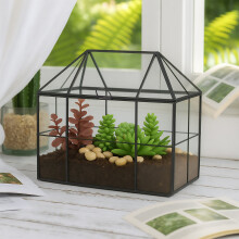 Glas-Terrarium in Hausform für Zimmerpflanzen