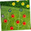 Soccer Tactical Board Accessories Magnetic Coaching Board Set Small Replacement Magnets 4