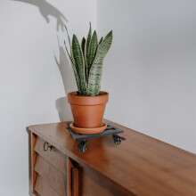 Rolling Flower Pot Tray Casters Plant Support Stand Indoor Outdoor Plant Stand Sturdy Appliance Dolly
