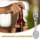 2pcs Camping Spork Outdoor Camping Tableware Multi-Function Spork 8