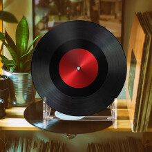 Présentoir à disques vinyle à plusieurs niveaux en acrylique, grande capacité, présentoir pour cadres photo, finition soignée