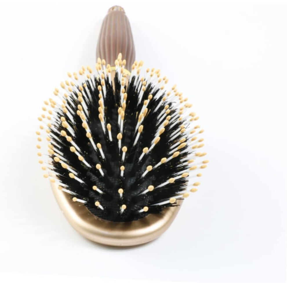 Hkhbjs Oval Gold Pig Bristle Massage Hair Brush Plastic Handle Hair Comb Static Detangling Comb