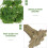 DIY Wire Tree for Micro Landscape Decor Miniature Landscape Trees for Diorama Table Accessory 7