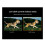 Wide Angle Camera Module MIS5001 5MP High Sensitivity for Luckfox--Pro/Max/Ultra, Ideal for Advanced Imaging B 9