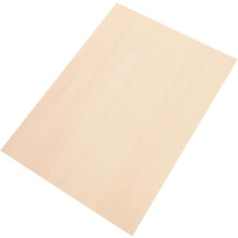 Onbewerkt lindenhouten plaat A4 22x30cm DIY hobby houten plank