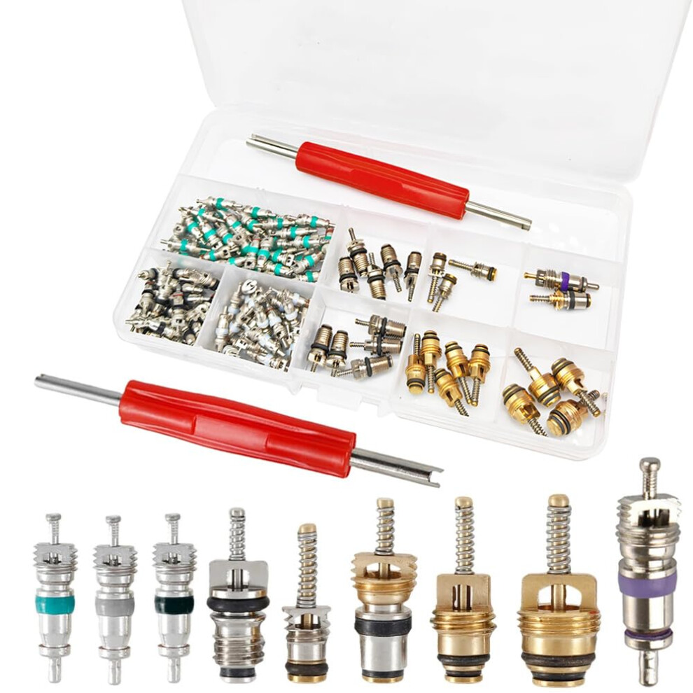 Saipor 134Pcs Car Air Conditioner Valve Core Kit, R12 R134a Automotive A/C Schra 5005296177929