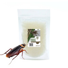 BioInsect Hydrogel, hydrogel, vand i gel til insekter og spindlere 100 g