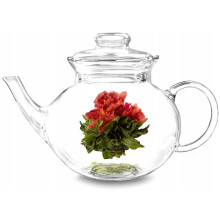 Blomstrende Hvid Te Venskabsblomst Silver Needle, nellikeblomst