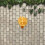 Duurzame Resin Met Gouden Design 3