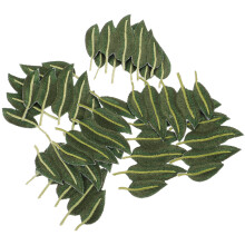 10St Mini Strijk Leaf Patches, Verstelbare Kledingornamenten