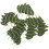 10St Mini Strijk Leaf Patches, Verstelbare Kledingornamenten 1