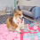 1Stmulti Functionele Roze Snuffelmat En Snack Voedselmat 9