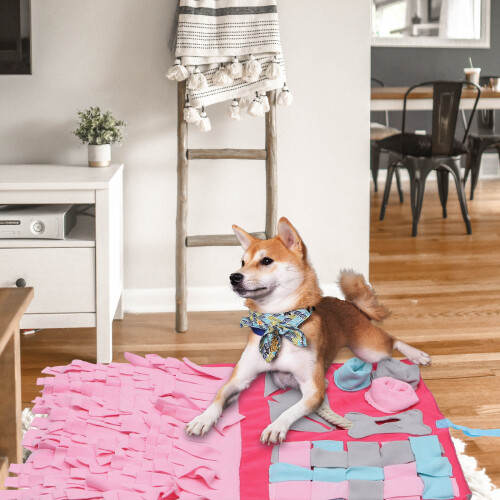1Stmulti Functionele Roze Snuffelmat En Snack Voedselmat 2
