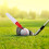 4pcs Golf Ball Alignment Tool Set with Reusable Plastic Ball Markers and Clip Stencils 3