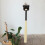 Wooden Baseball Bat Holder Wall Mount Rack Vertical Baseball Bat Storage Bracket 4