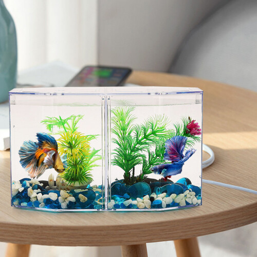 Professionele Visisolatiebox Met Transparant Ontwerp 2