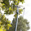 Spear & Jackson Spear & Jackson 4935TP Razorsharp Lightweight Telescopic Tree Pruner 5