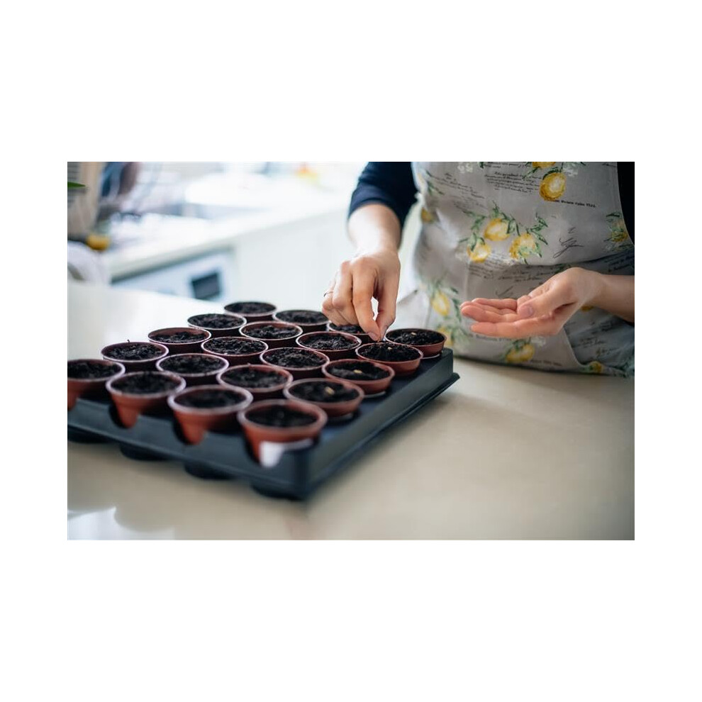 Mr Fothergill's Fothergill's Oh Sow Simple, Lettuce Little Gem Vegetable Seeds, Sow: Mar–Jul, Gr