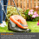 Flymo Flymo EasiGlide 360 Hover Collect Lawn Mower - 2000W Motor, 36cm Cutting Width, 2