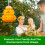 ASPECTEK Wasp Traps, 2-Pack – Reusable Hourglass-Shaped Traps, Yellow Jacket & H 9