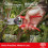 Felco FELCO 2 Pruning Secateurs – 25 mm Cutting Diameter, for Large Hands, 215 mm Leng 5