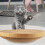 3St Herbruikbare Kattenkrabplank Vervanging Kattenaccessoires 8